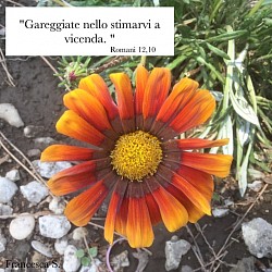 Romani 12,20