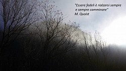 M. Quoist