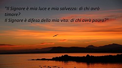 Salmo