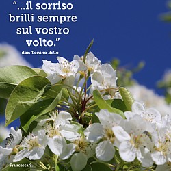 Don Tonino Bello