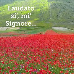 San Francesco