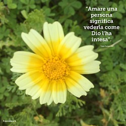 Amare